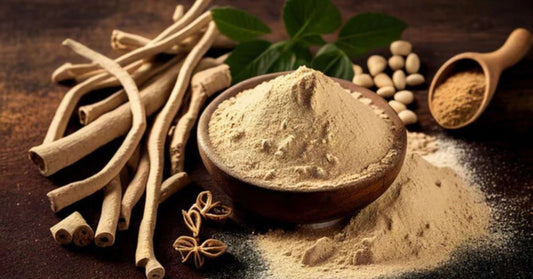 The Ashwagandha Phenomenon: Why This Ancient Herb Conquered the World